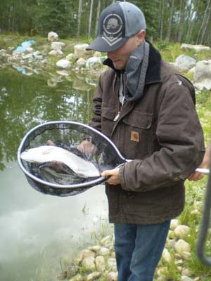 2 year old Rainbow Trout from the front yard pond